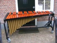 Adam Concert Marimba