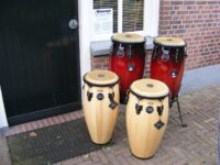 Meinl Conga